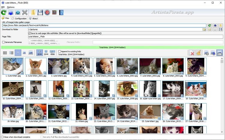 Bulk Image Downloader Full Español Mega