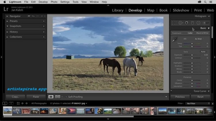 Lightroom Classic Crack Full Español