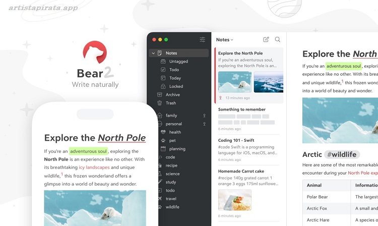 Bear Descargar Gratis Español
