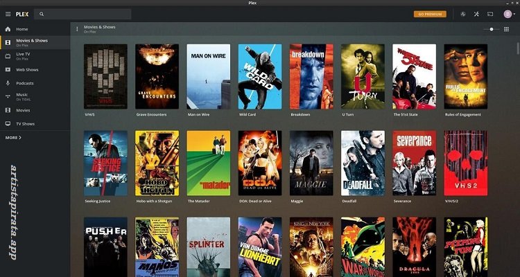 Plex Media Server 2026 Descargar Español