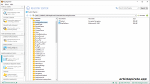 Reg Organizer 2025 crack Descargar completa