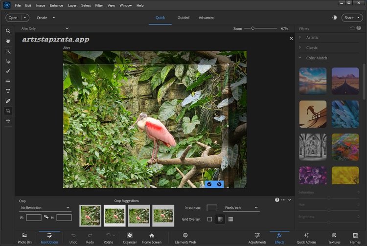 Interfaz de Adobe Photoshop Elements 2026 Activado
