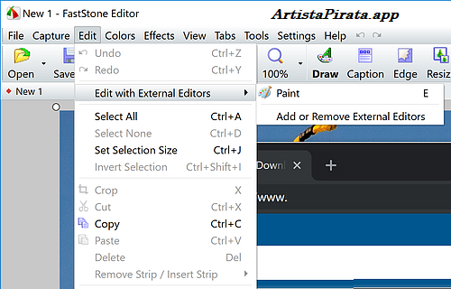 FastStone Capture Full Activado Espanol