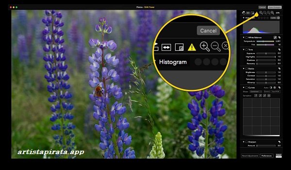 RAW Power Full Activado Espanol