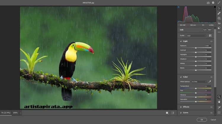 Adobe Camera Raw Descargar Gratis