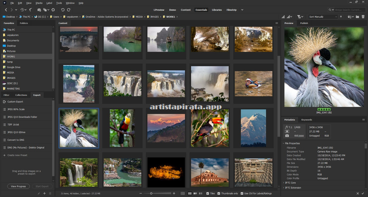 Adobe Bridge Free Download