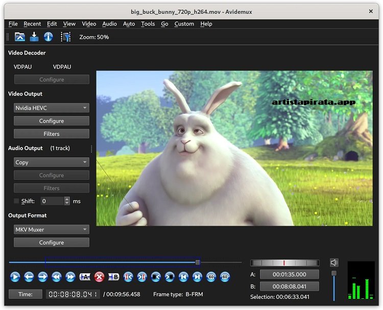 Avidemux Video Editor Full Espanol