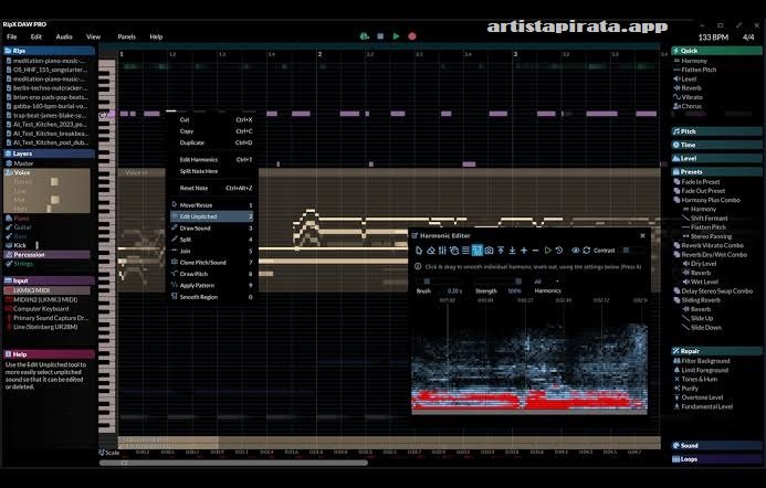RipX DAW PRO Free Download Windows and Mac